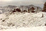 Snow on Mount Tamalpais, 1976