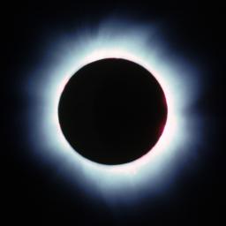 Corona with superimposed prominences